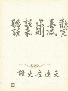 听说你喜欢我小说未删减完整版