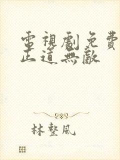 电视剧免费全集正道无敌