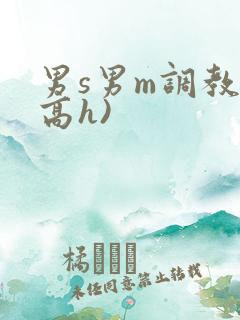 男s男m调教(高h)