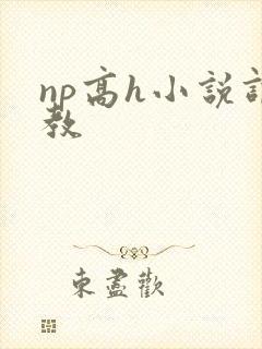 np高h小说调教