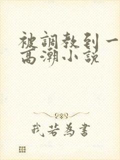 被调教到一摸就高潮小说