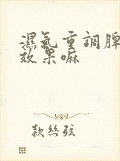 湿气重调脾胃有效果嘛