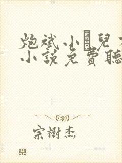 炮斌小苮儿有声小说免费听书