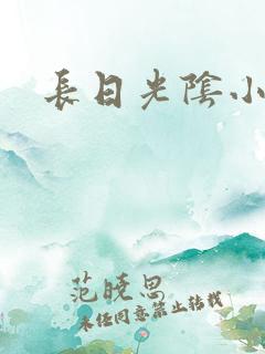 长日光阴小说