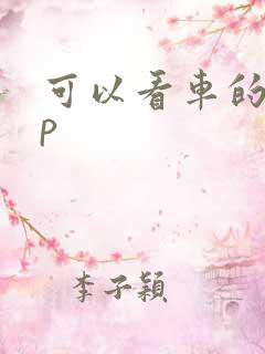 可以看车的app