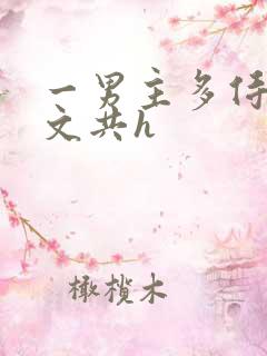 一男主多侍妾辣文共h