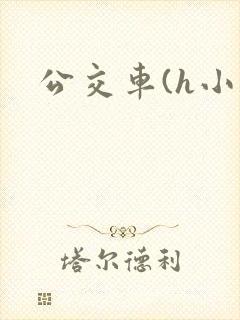 公交车(h小说