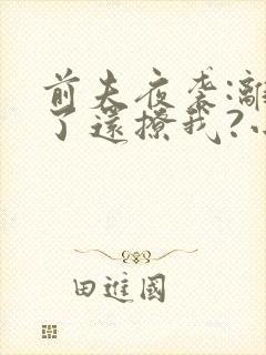 前夫夜袭:离婚了还撩我?小说阅读