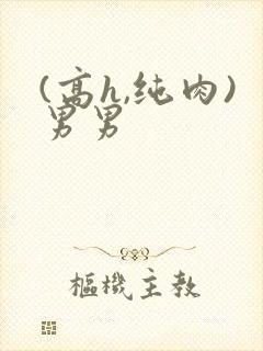 (高h,纯肉)男男