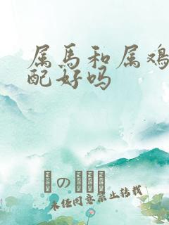 属马和属鸡的婚配好吗