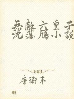 无敌六皇子云铮沈落雁小说无弹窗口