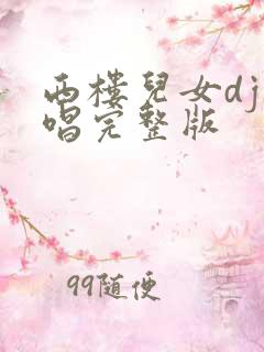 西楼儿女dj原唱完整版