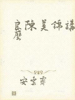 良陈美锦讲了什么