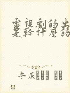电视剧的出品人是干什么的