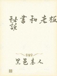 秘书和老板的小说