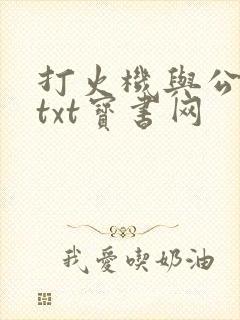 打火机与公主裙txt宝书网
