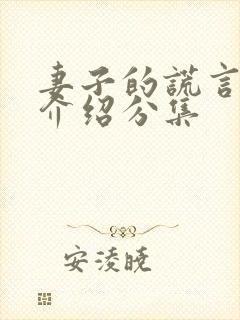 妻子的谎言剧情介绍分集