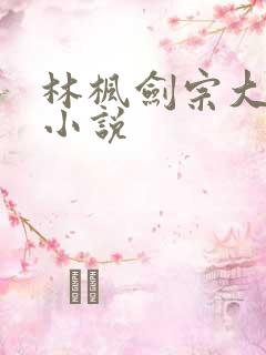 林枫剑宗大师兄小说