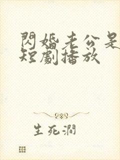 闪婚老公是豪门短剧播放