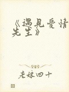 《遇见爱情的利先生》