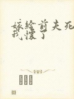 嫁给前夫死对头我怀了