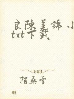 良陈美锦 小说txt下载