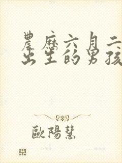 农历六月二十二出生的男孩命运