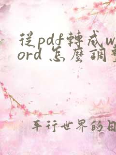 从pdf转成word 怎么调整格式