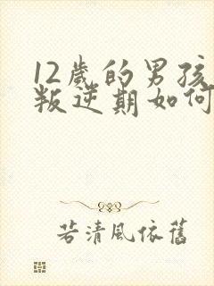 12岁的男孩子叛逆期如何管教