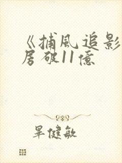 《捕风追影》票房破11亿
