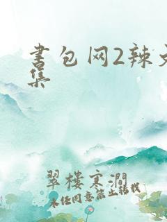 书包网2辣文合集