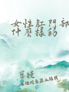 女性肛门部位是什么样的