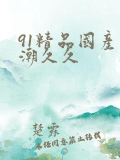 91精品国产高潮久久