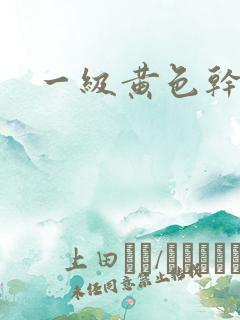 一级黄色干逼片