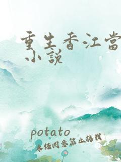 重生香江当大亨 小说