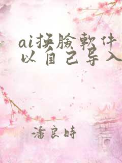 ai换脸软件可以自己导入视频的app