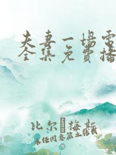 夫妻一场电视剧全集免费播放
