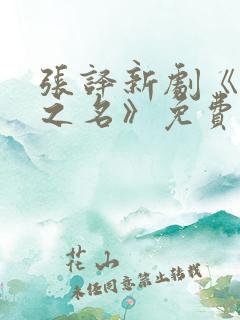 张译新剧《以法之名》免费在线观看