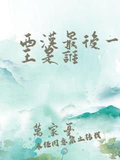 西汉最后一个帝王是谁