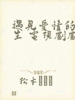 遇见爱情的利先生 电视剧剧情