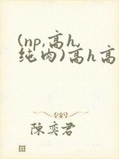 (np,高h,纯肉)高h高辣h