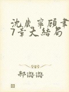 沈岁宁顾聿礼27章大结局