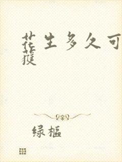 花生多久可以收获