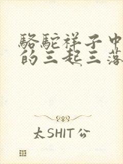 骆驼祥子中祥子的三起三落