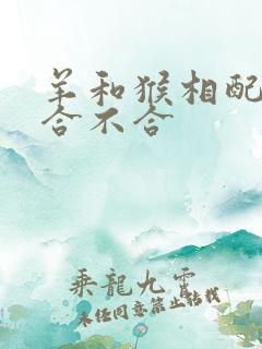 羊和猴相配婚姻合不合