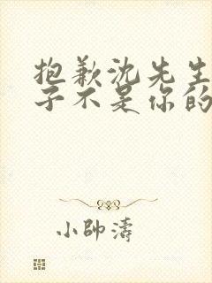 抱歉沈先生,孩子不是你的短剧全集