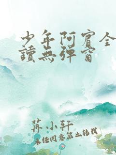 少年阿宾全文阅读无弹窗