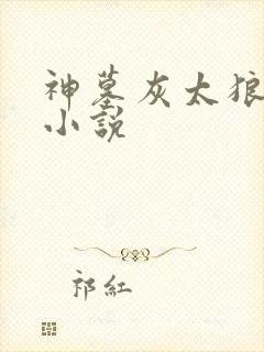 神墓灰太狼有声小说