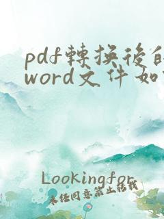 pdf转换后的word文件如何排版