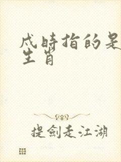 戍时指的是什么生肖